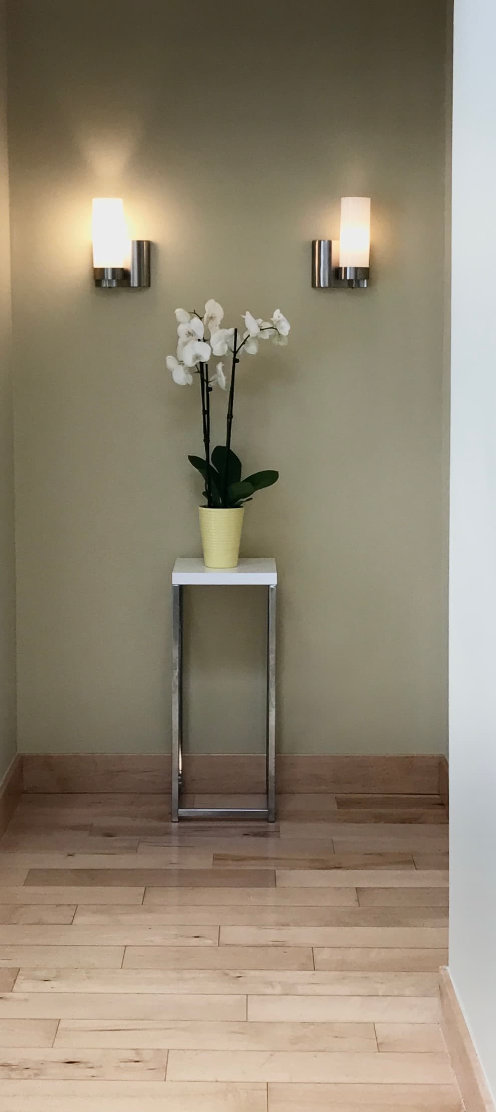 White orchid centered beneath paired sconces in a quiet architectural niche