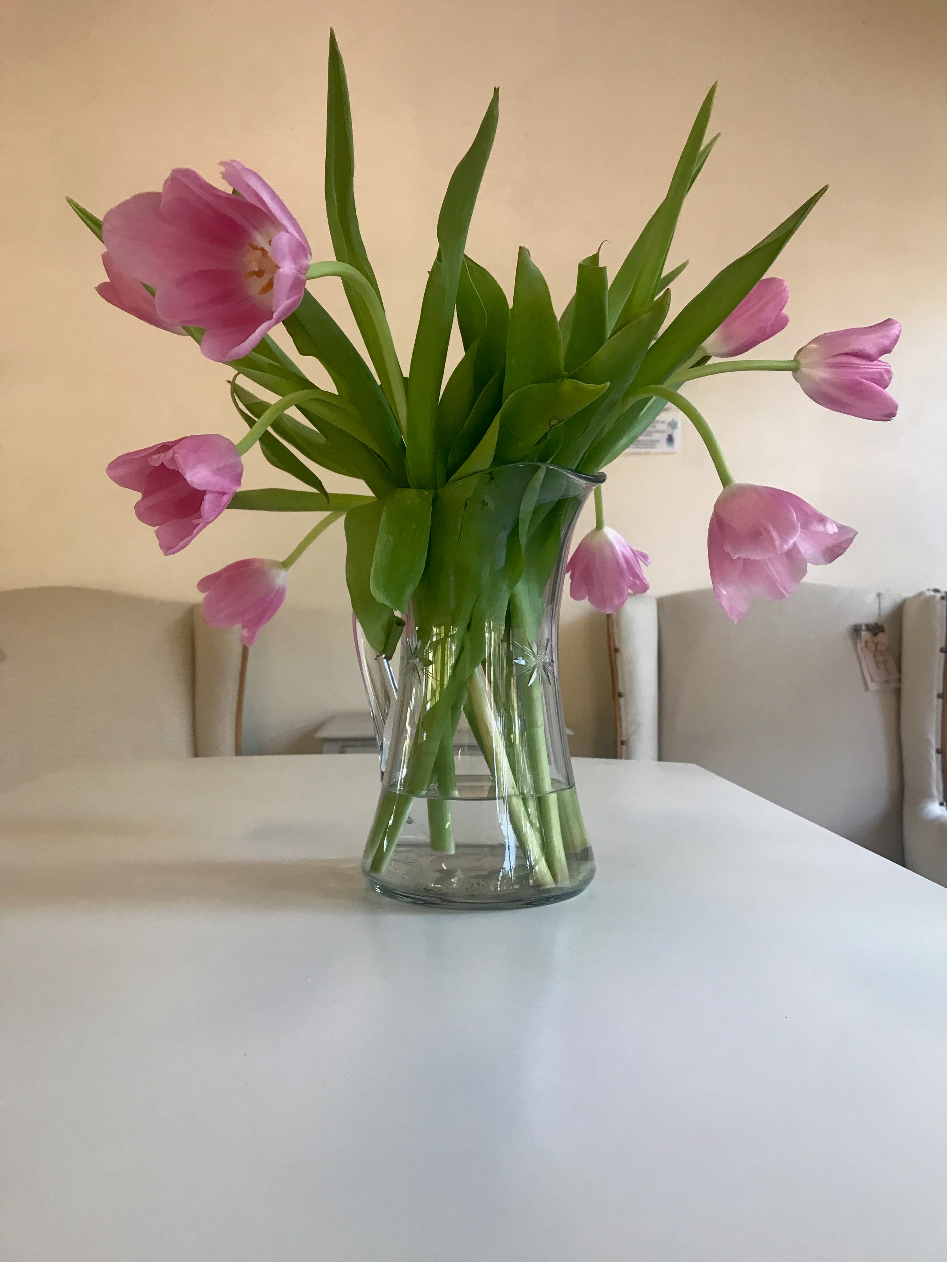 Fresh pink tulips arranged loosely in a clear glass vase