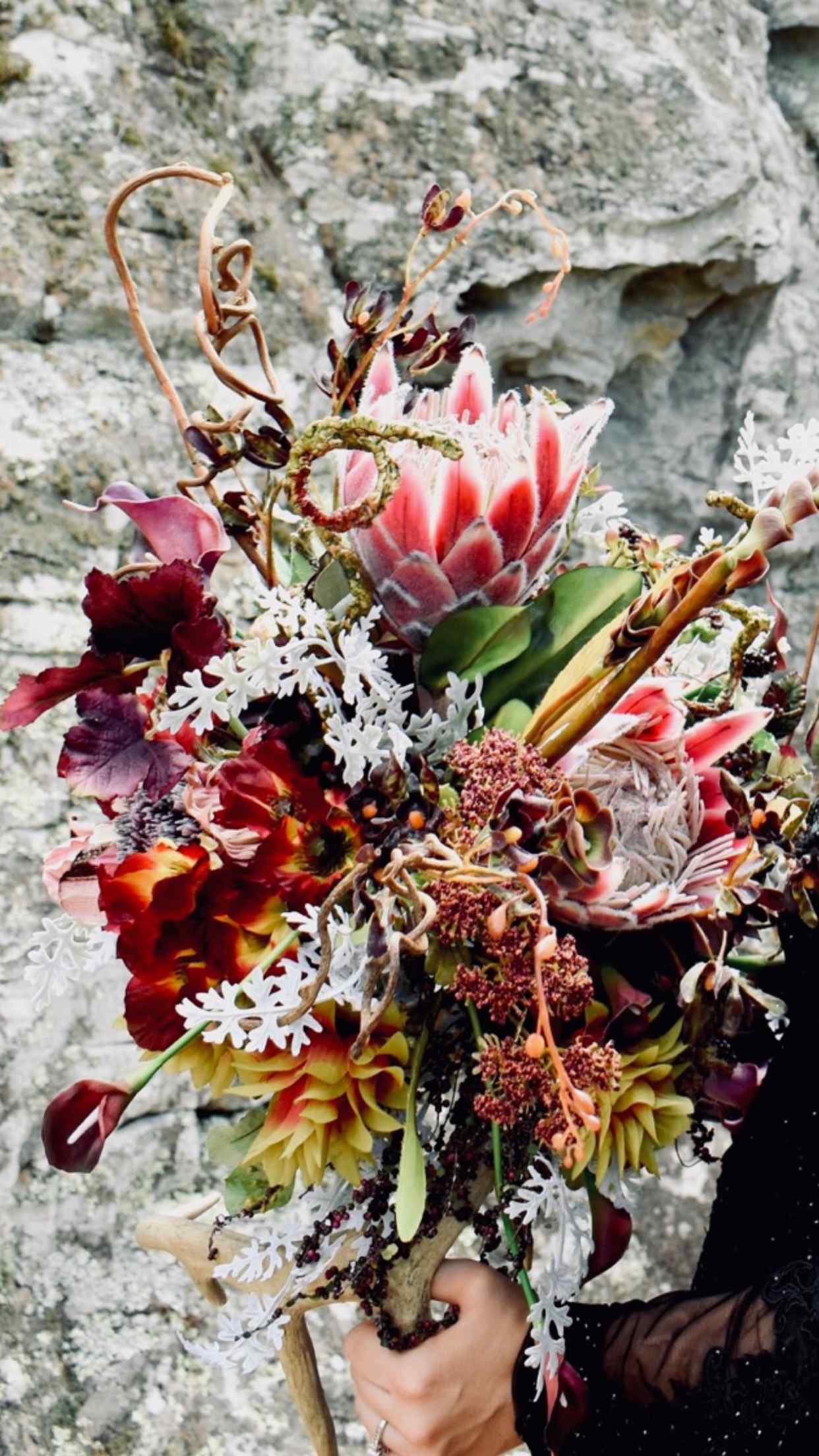 Sculptural bouquet of protea, orchids, curling branches, and richly colored botanicals against stone